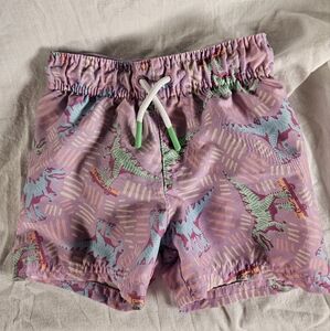 Cat & Jack Purple Dinosaur Swim Shorts